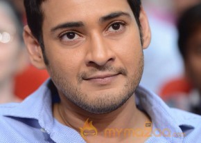 Mahesh Babu At SVSC Triple Platinum Disc Function   photo 42