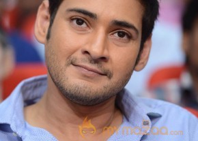 Mahesh Babu At SVSC Triple Platinum Disc Function   photo 5