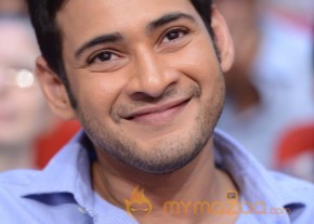 Mahesh Babu At SVSC Triple Platinum Disc Function   photo 39
