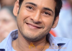 Mahesh Babu At SVSC Triple Platinum Disc Function   photo 4