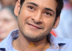 Mahesh Babu At SVSC Triple Platinum Disc Function   photo 16