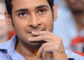 Mahesh Babu At SVSC Triple Platinum Disc Function   photo 13