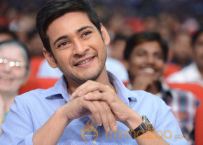 Mahesh Babu At SVSC Triple Platinum Disc Function   photo 23