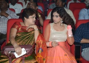Mahesh Movie Audio Launch Photos photo 65