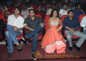 Mahesh Movie Audio Launch Photos photo 98