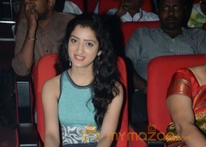 Mahesh Movie Audio Launch Photos photo 49