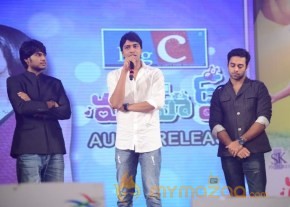 Mahesh Movie Audio Launch Photos photo 126
