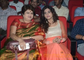 Mahesh Movie Audio Launch Photos photo 75