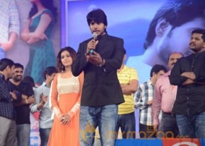 Mahesh Movie Audio Launch Photos photo 135