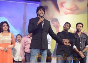 Mahesh Movie Audio Launch Photos photo 79
