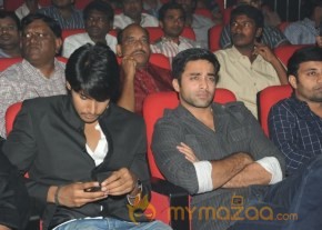Mahesh Movie Audio Launch Photos photo 56