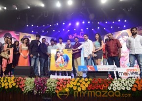 Mahesh Movie Audio Launch Photos photo 12
