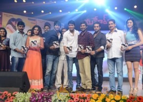 Mahesh Movie Audio Launch Photos photo 20