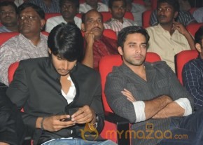 Mahesh Movie Audio Launch Photos photo 17
