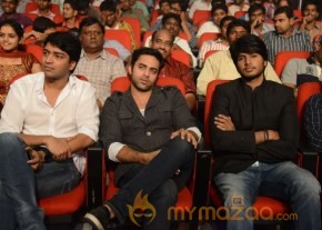 Mahesh Movie Audio Launch Photos photo 99