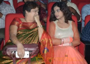 Mahesh Movie Audio Launch Photos photo 21