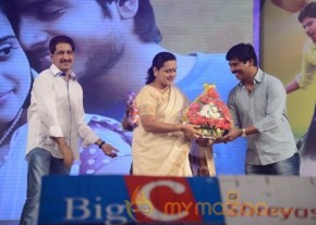 Mahesh Movie Audio Launch Photos photo 48
