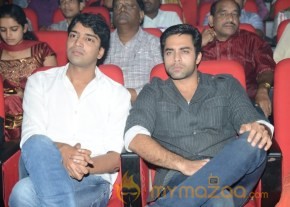 Mahesh Movie Audio Launch Photos photo 64