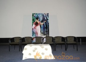 Mallela Theeram Lo Sirimalle Puvvu Success Meet Photos photo 12