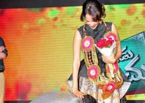 Mama Manchu Alludu Kanchu Movie Audio Launch photo 8