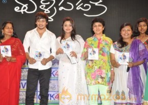 Manasa Thullipadake Movie Audio launch Photos photo 65