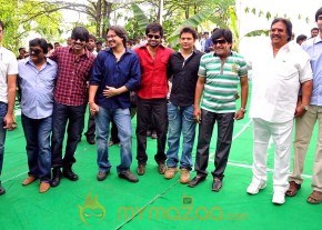Mangala movie opening photo 4