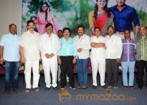 Memu Film  Release Press Meet photo 6