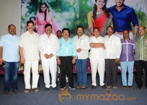 Memu Film  Release Press Meet photo 5