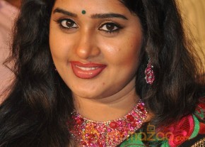 Mirchi Audio Launch Gallery  photo 93