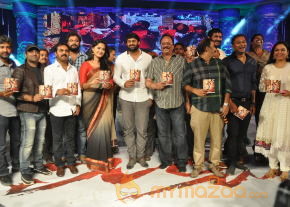 Mirchi Audio Launch Gallery  photo 85