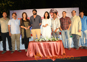 Mirchi Movie Team Success Meet  photo 35