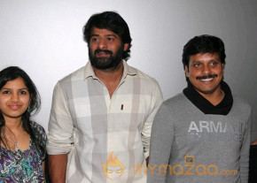 Mirchi Success Meet In US Photos