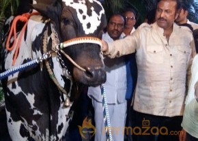 Mohan Babu visited Bull Show Event Stills photo 8