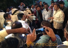 Mohan Babu visited Bull Show Event Stills photo 10