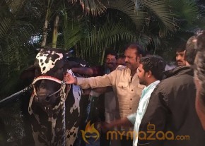 Mohan Babu visited Bull Show Event Stills photo 12