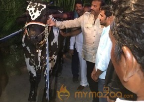 Mohan Babu visited Bull Show Event Stills photo 14