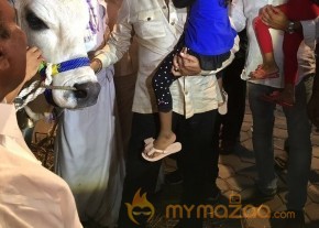 Mohan Babu visited Bull Show Event Stills photo 21