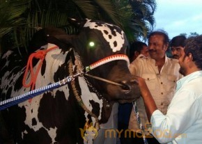 Mohan Babu visited Bull Show Event Stills photo 19