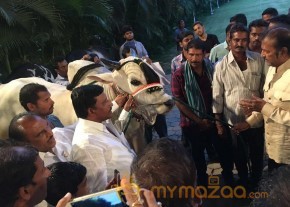 Mohan Babu visited Bull Show Event Stills