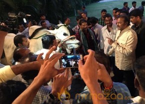 Mohan Babu visited Bull Show Event Stills photo 7