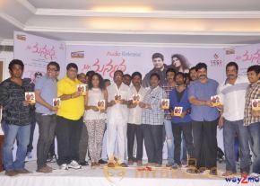 Mr. Manmadha Movie Audio Launch  photo 5