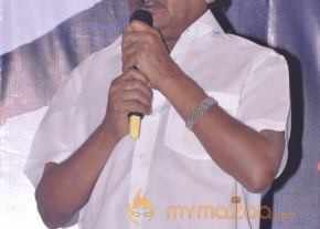 Mr. Manmadha Movie Audio Launch  photo 46