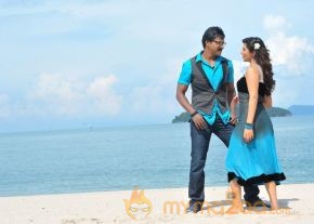 Mr Pellikoduku Latest Photos photo 12