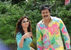 Mr Pellikoduku Latest Photos