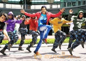 Mr Pellikoduku Latest Photos photo 9