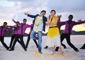 Mr Pellikoduku Latest Photos photo 6