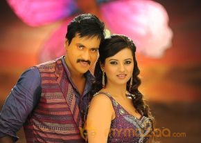 Mr Pellikoduku Latest Photos photo 7