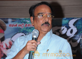 Mr Rowdy Movie Audio Launch Photos  photo 36