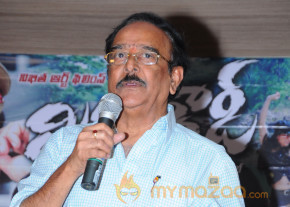 Mr Rowdy Movie Audio Launch Photos 