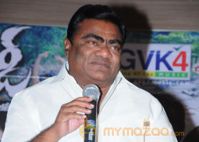Mr Rowdy Movie Audio Launch Photos  photo 16
